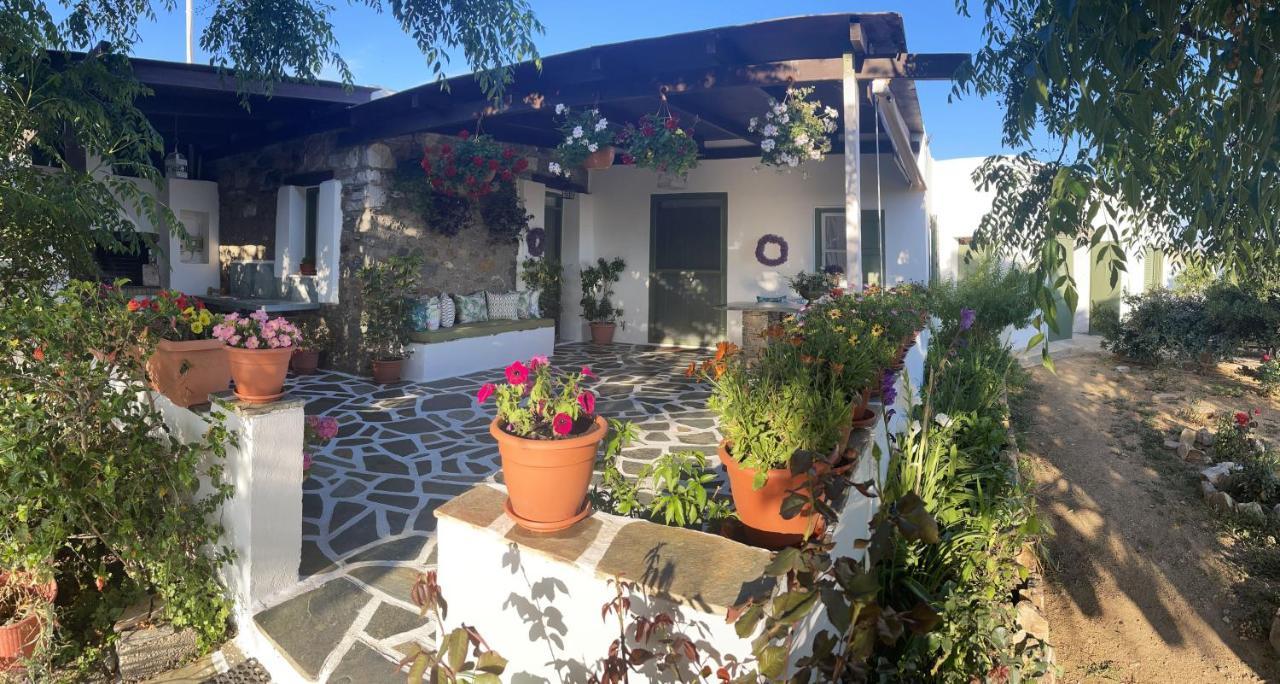 Villa Ktima Dimitrios à Naxos City Extérieur photo