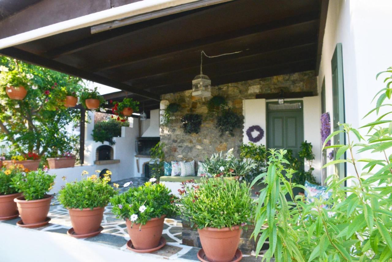 Villa Ktima Dimitrios à Naxos City Extérieur photo