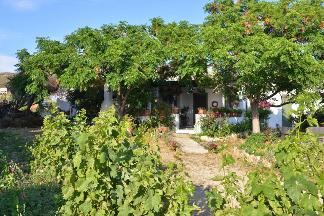 Villa Ktima Dimitrios à Naxos City Extérieur photo