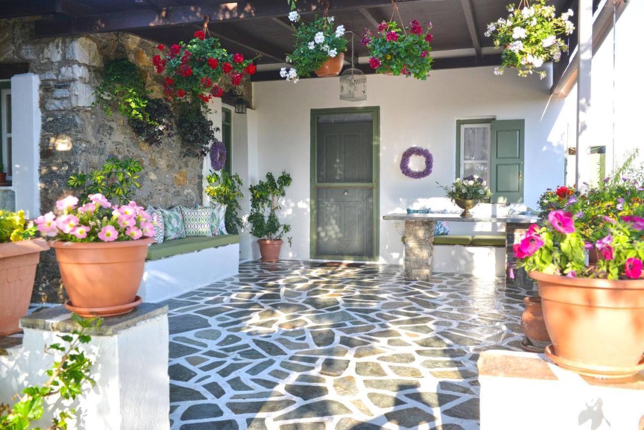 Villa Ktima Dimitrios à Naxos City Extérieur photo